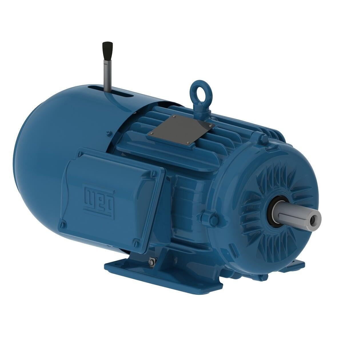 Products & Services GEM Electric Motors